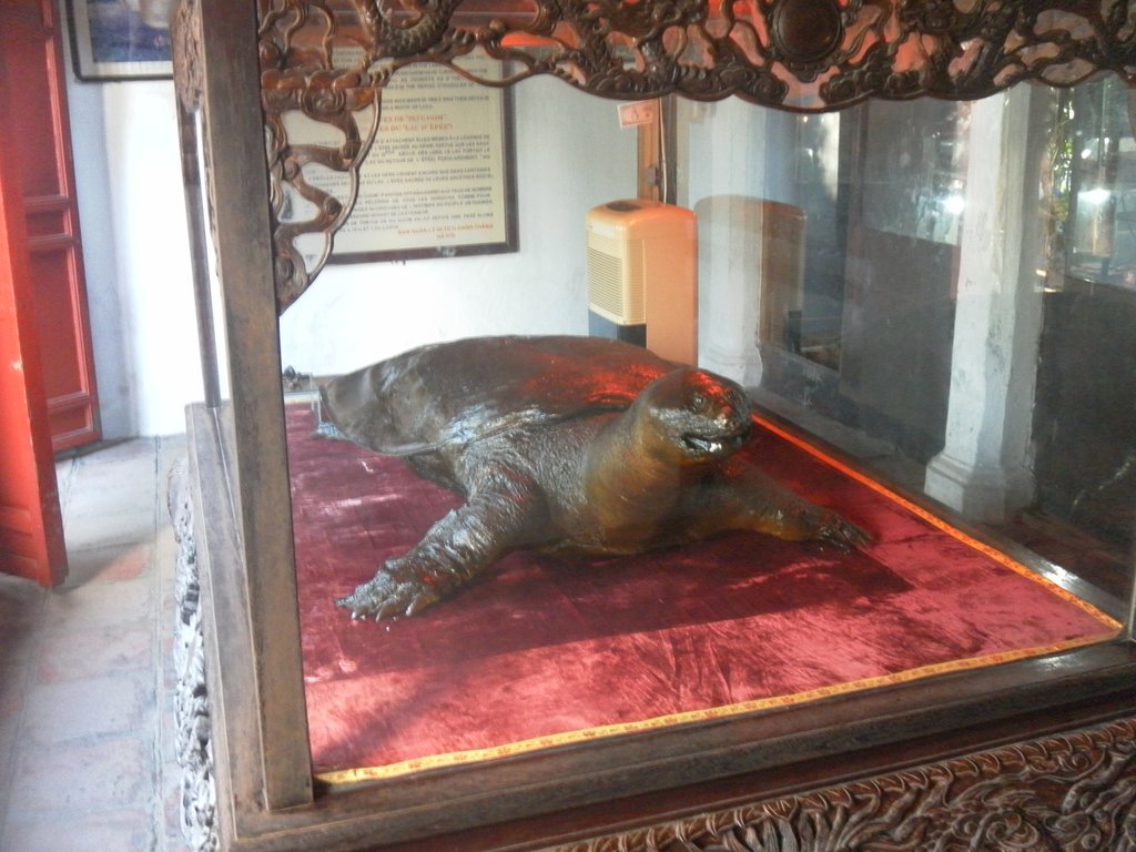 Image SAM_0927.JPG