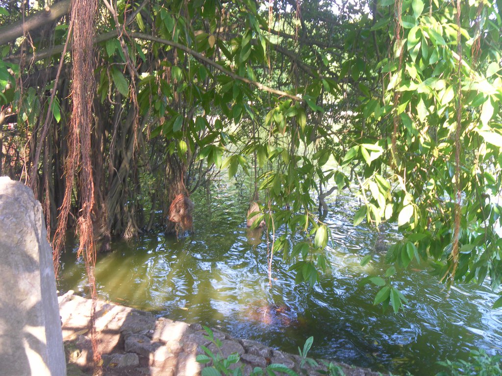 Image SAM_0928.JPG