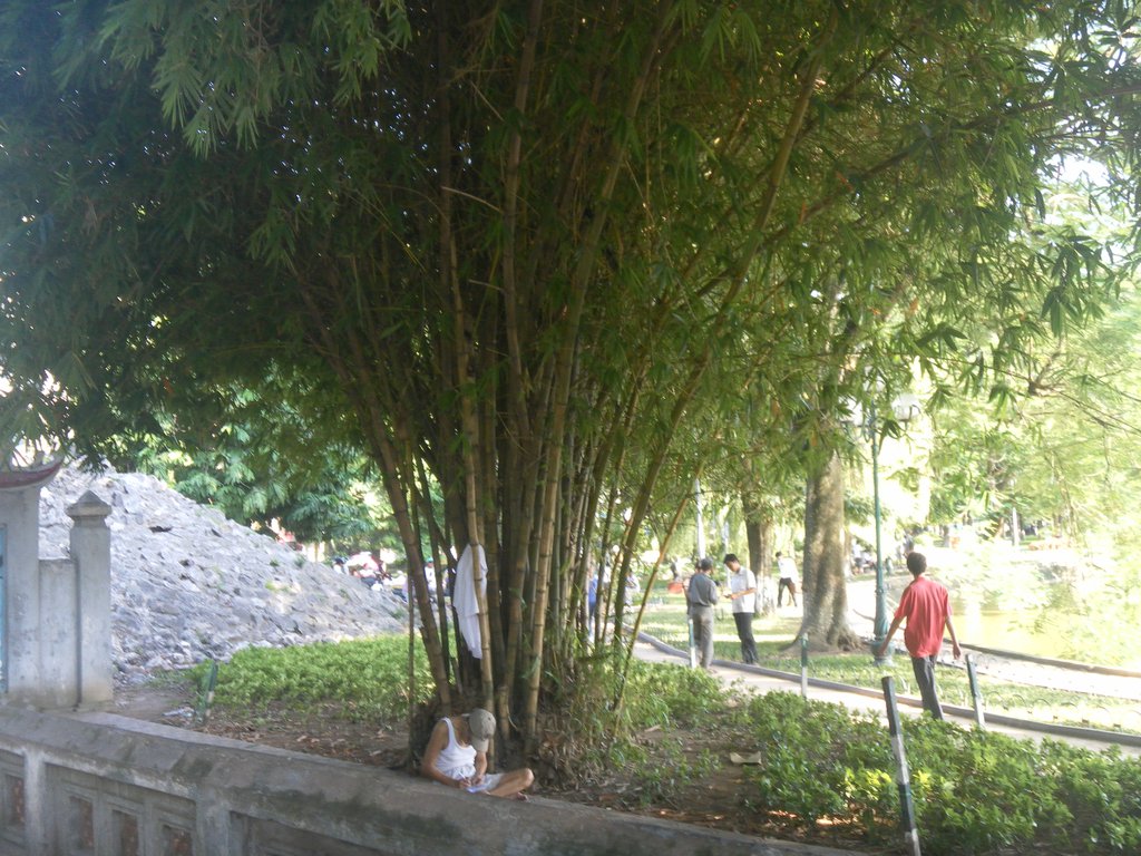 Image SAM_0934.JPG