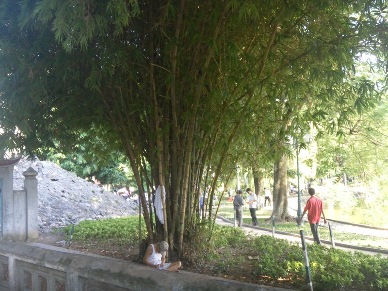 Image SAM_0934.JPG