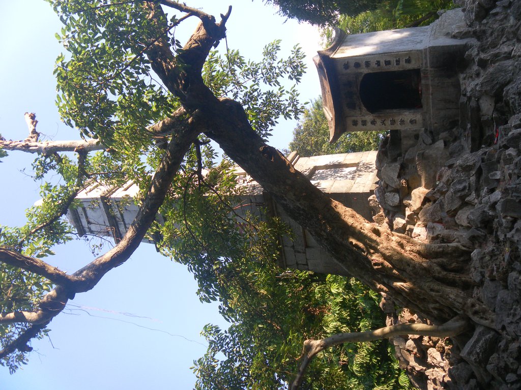 Image SAM_0935.JPG