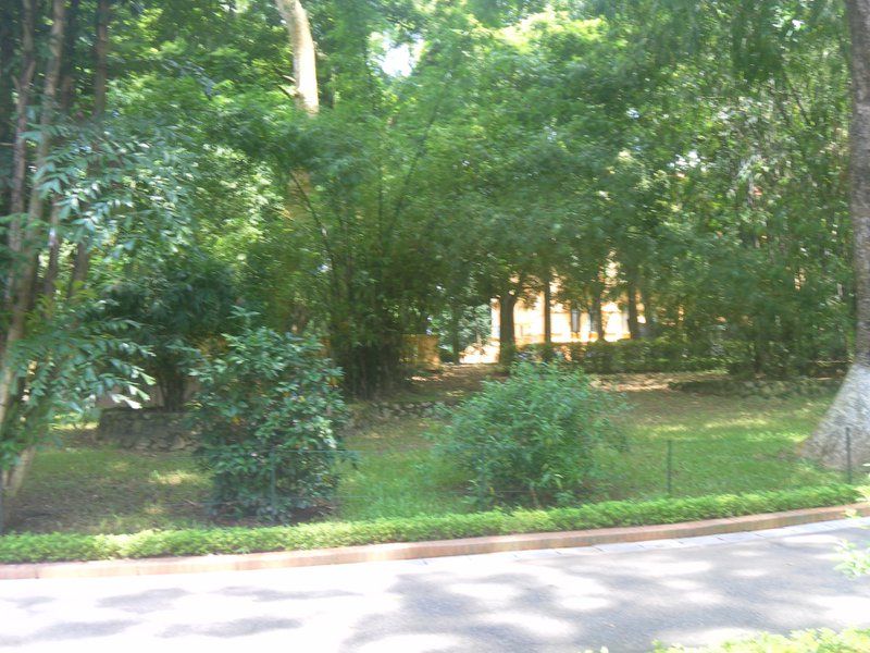 Image SAM_0983.JPG