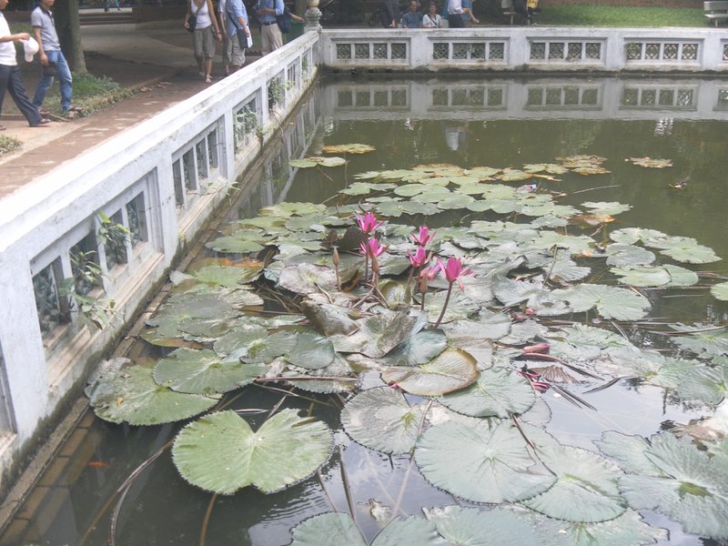 Image SAM_0994.JPG