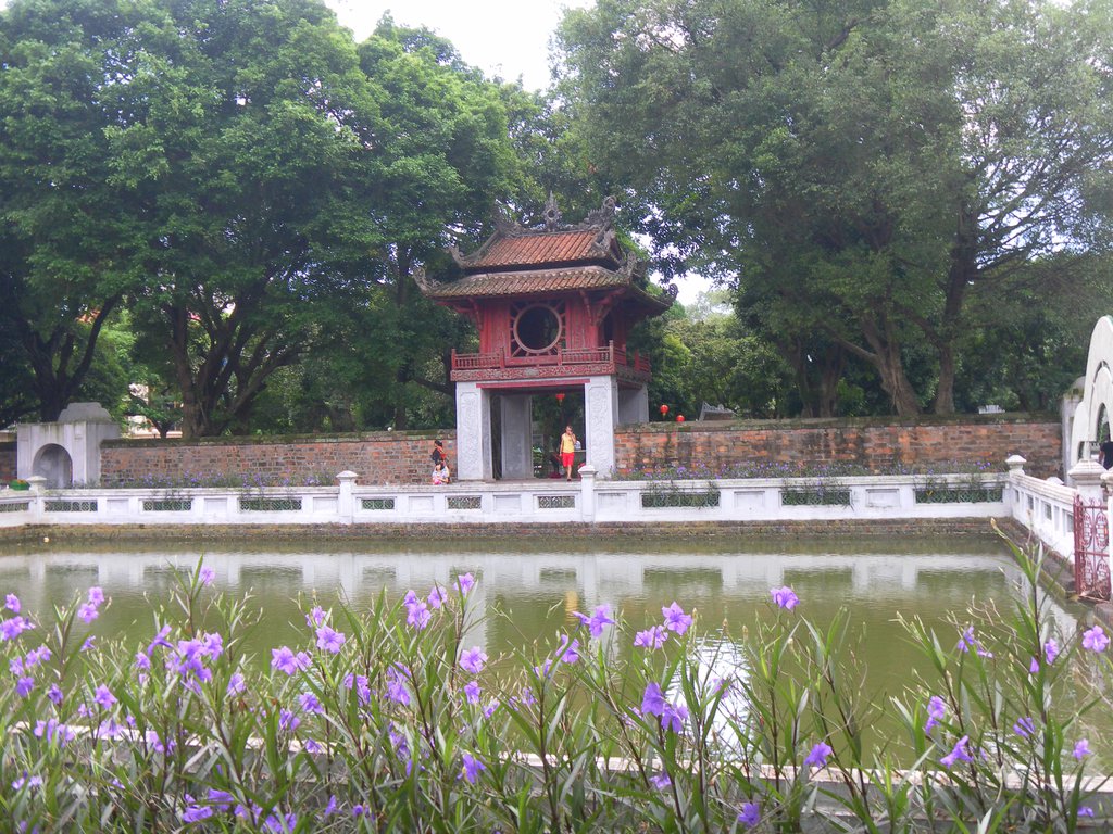 Image SAM_1045.JPG