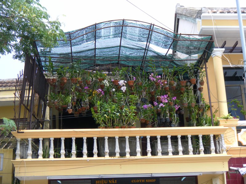 Image SAM_1856.JPG