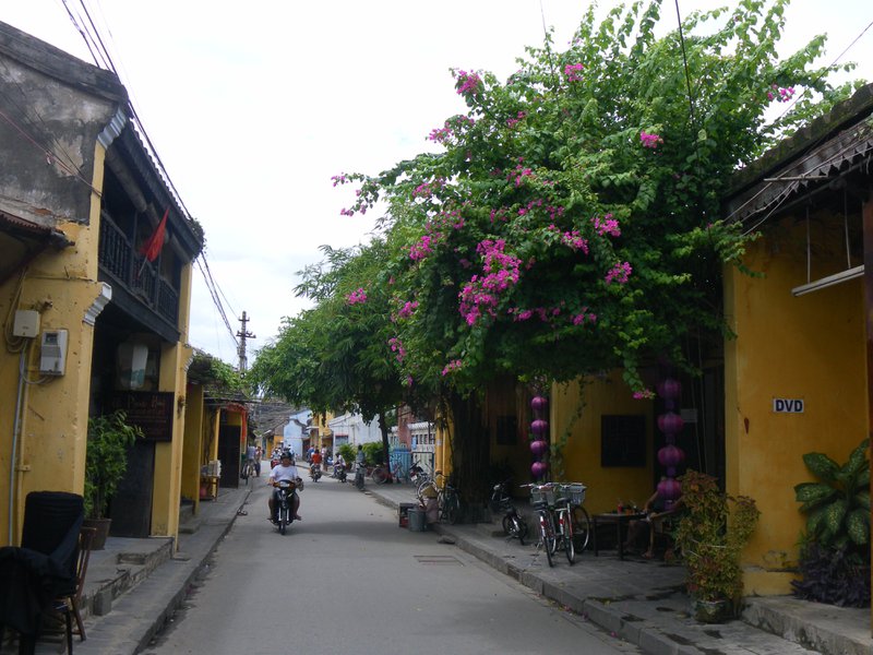 Image SAM_1882.JPG