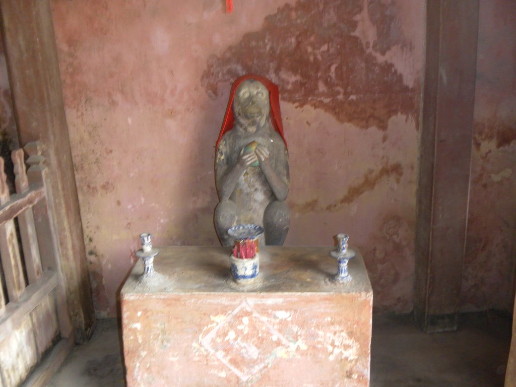Image SAM_1908.JPG