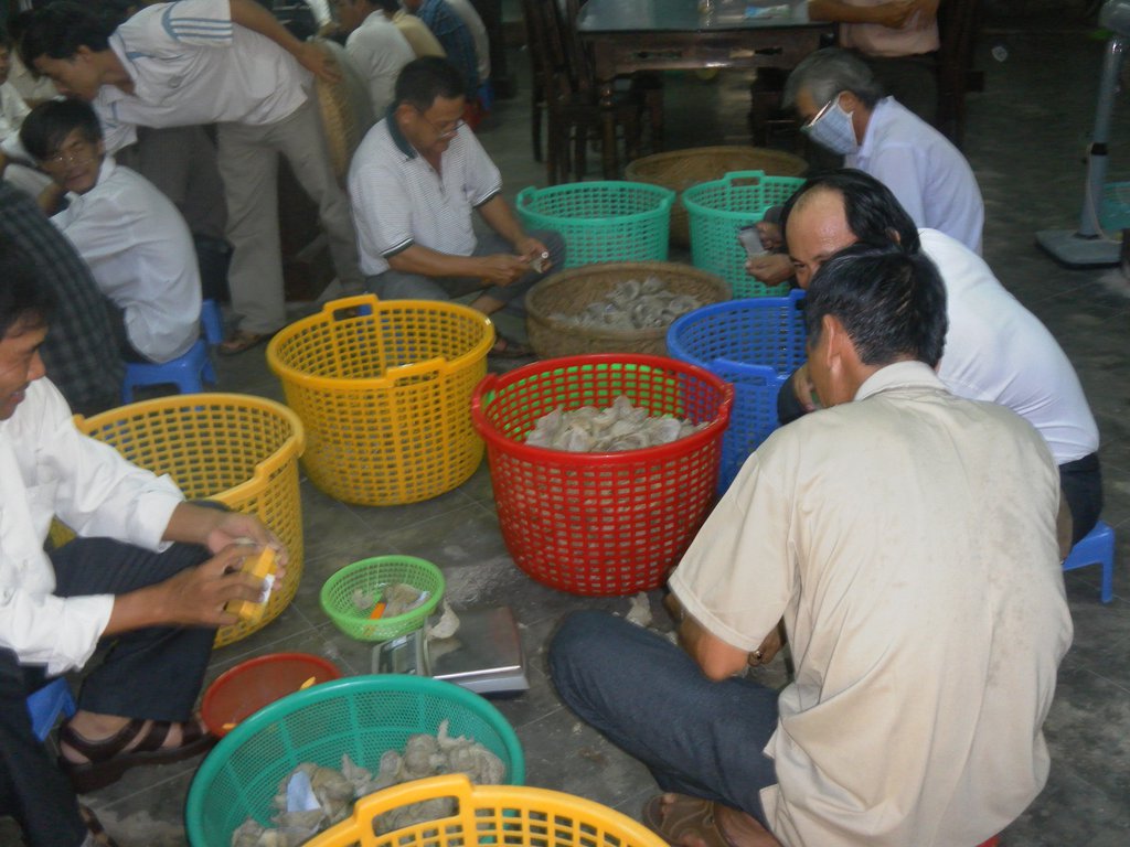 Image SAM_1943.JPG