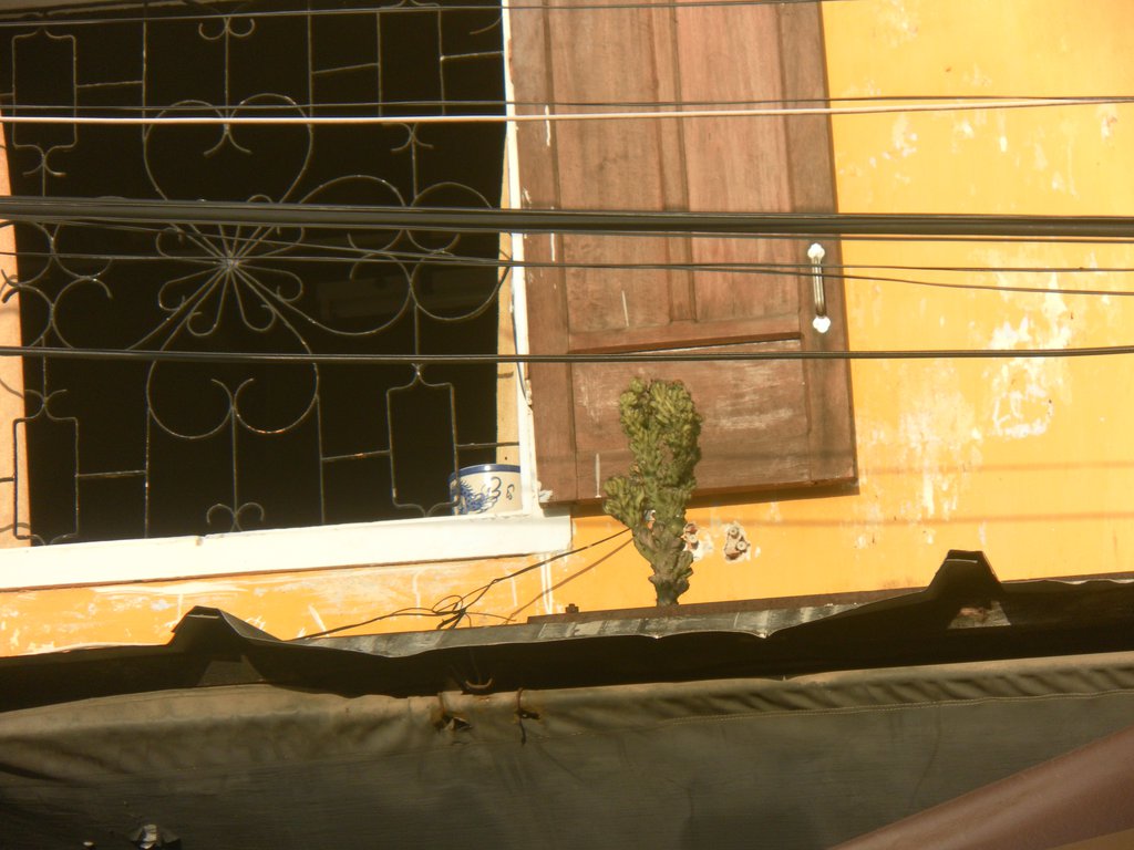 Image SAM_1958.JPG