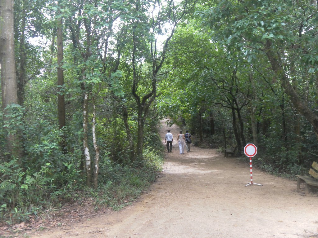 Image SAM_1965.JPG