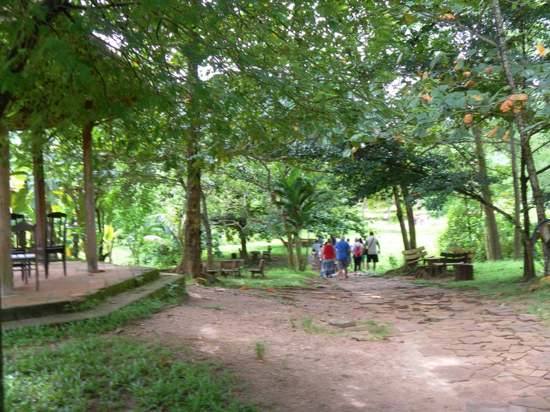 Image SAM_1966.JPG