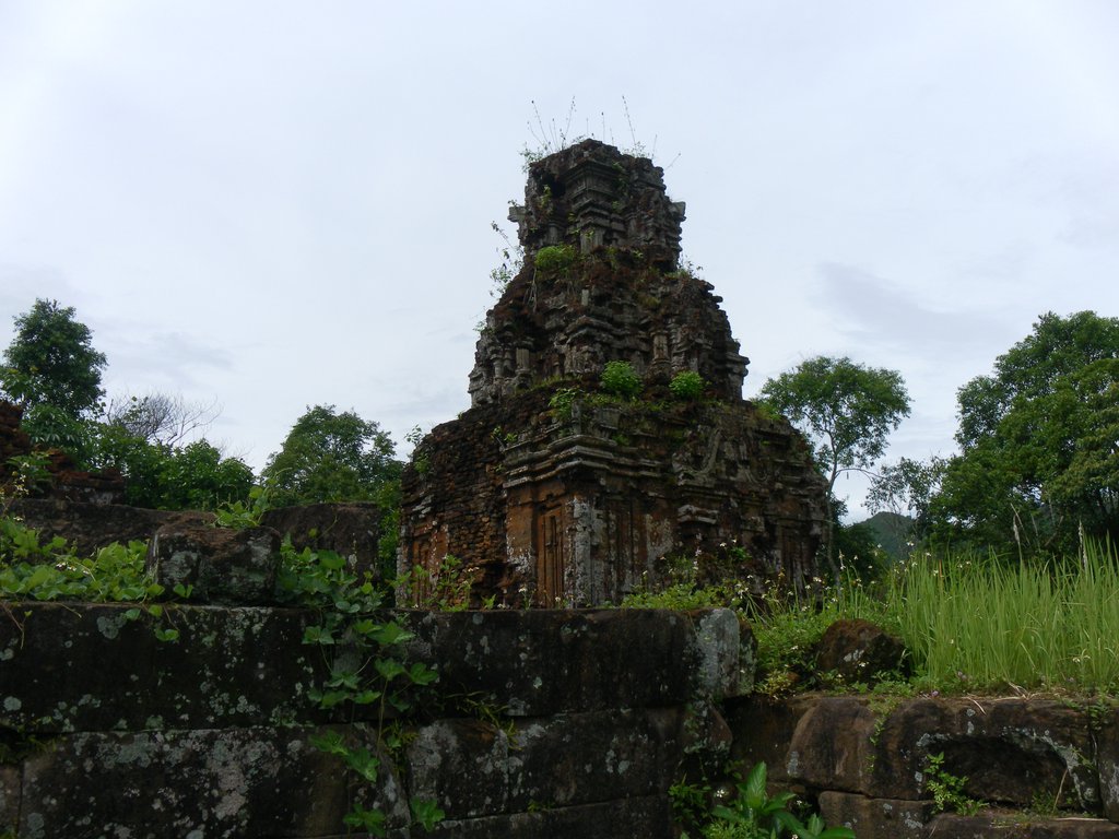 Image SAM_1986.JPG