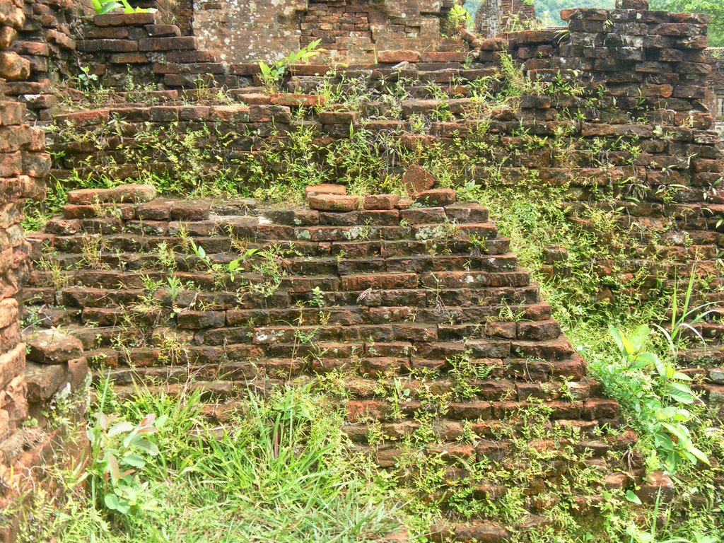 Image SAM_1996.JPG