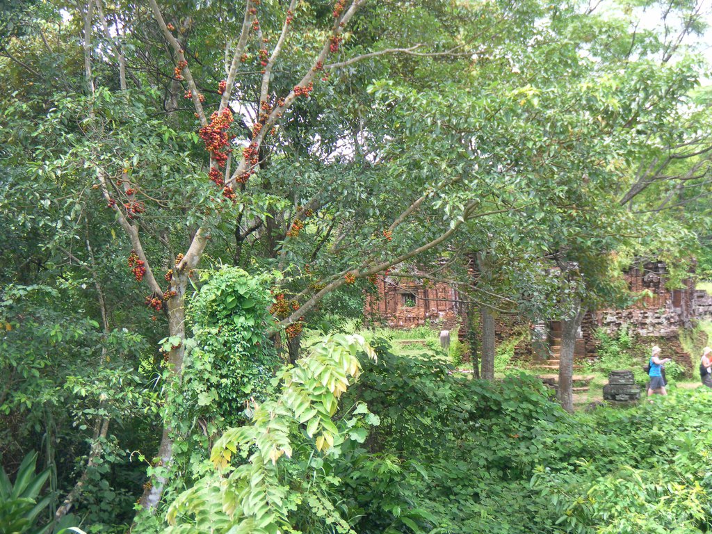 Image SAM_2012.JPG