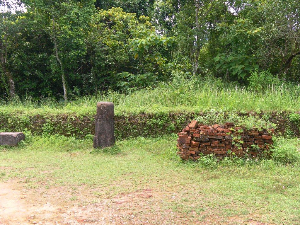 Image SAM_2013.JPG