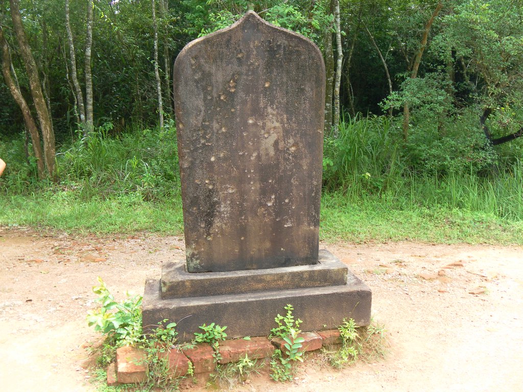 Image SAM_2025.JPG