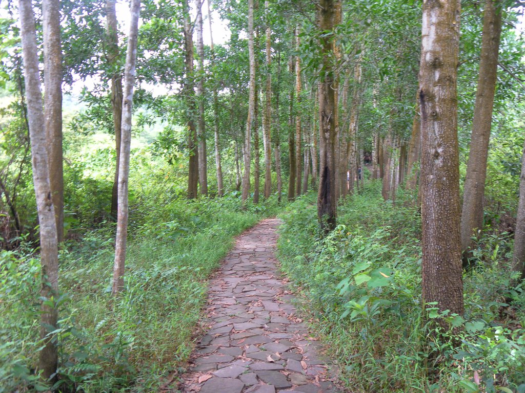 Image SAM_2028.JPG