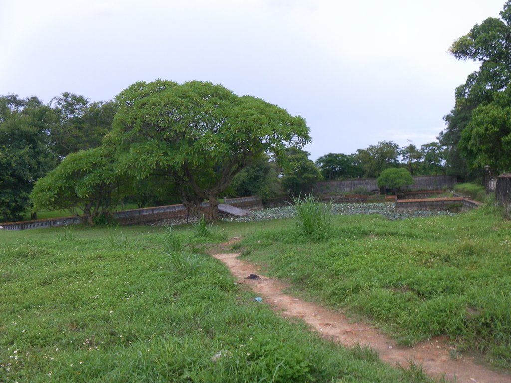 Image SAM_1762.JPG