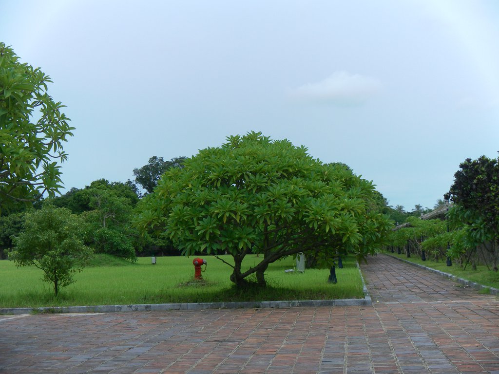 Image SAM_1772.JPG