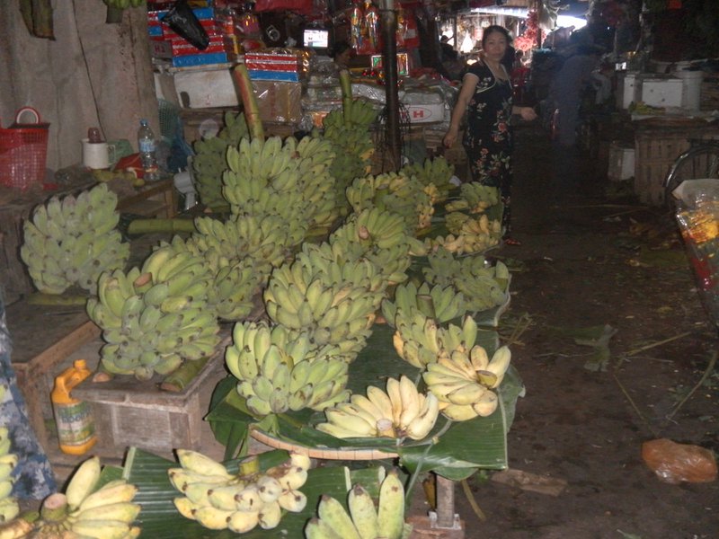 Image SAM_1835.JPG