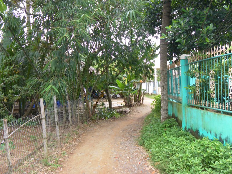 Image SAM_2274.JPG