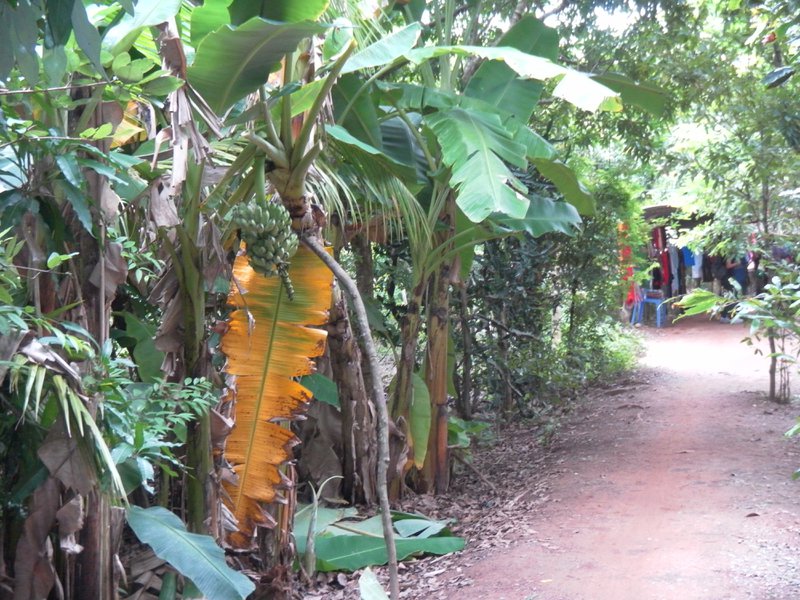 Image SAM_2279.JPG