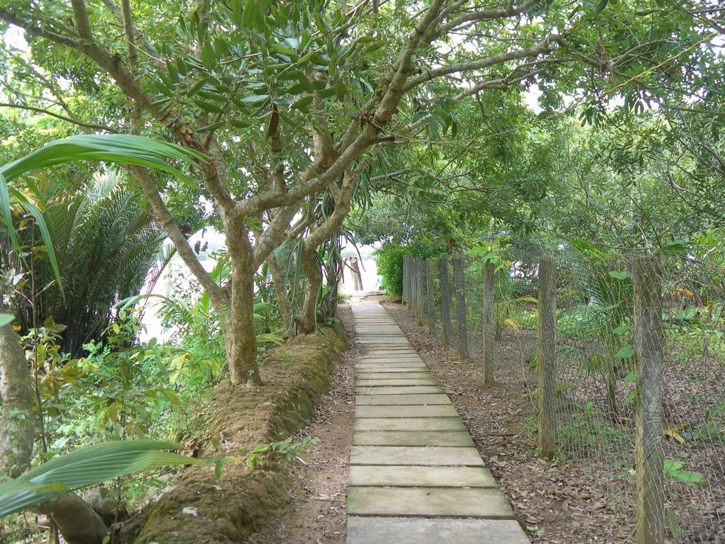 Image SAM_2315.JPG