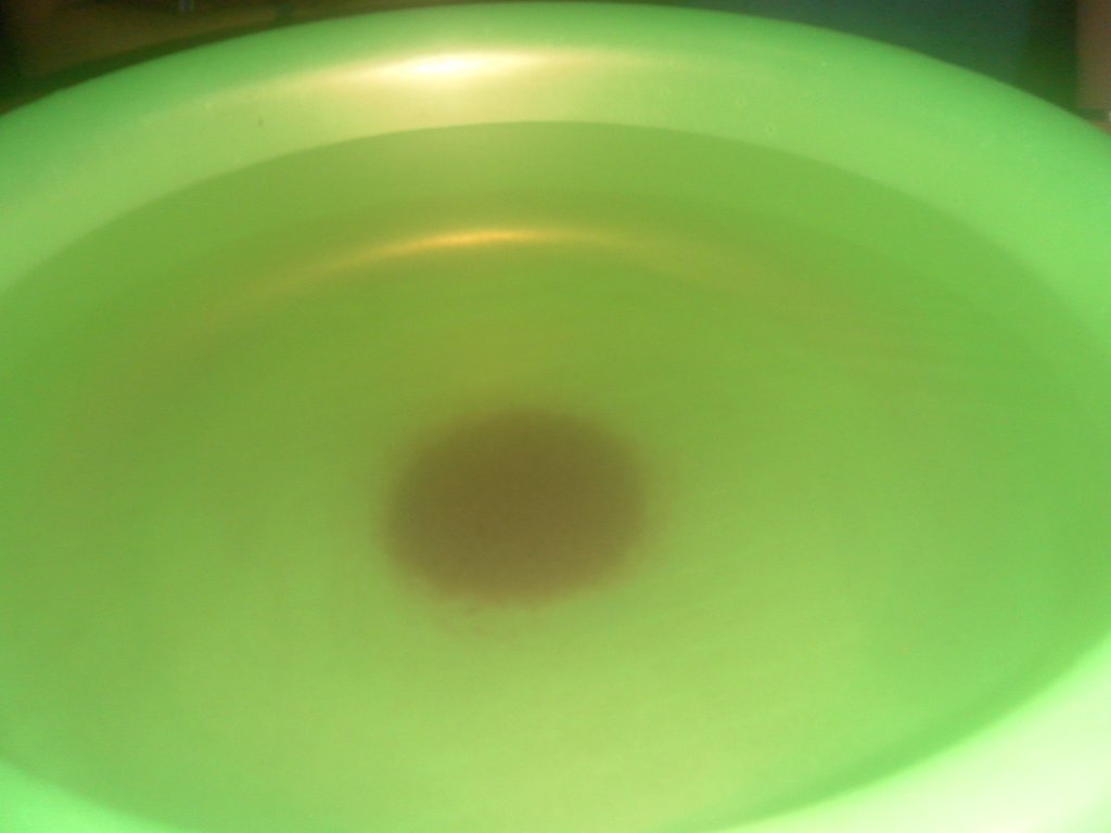 Image SAM_2337.JPG