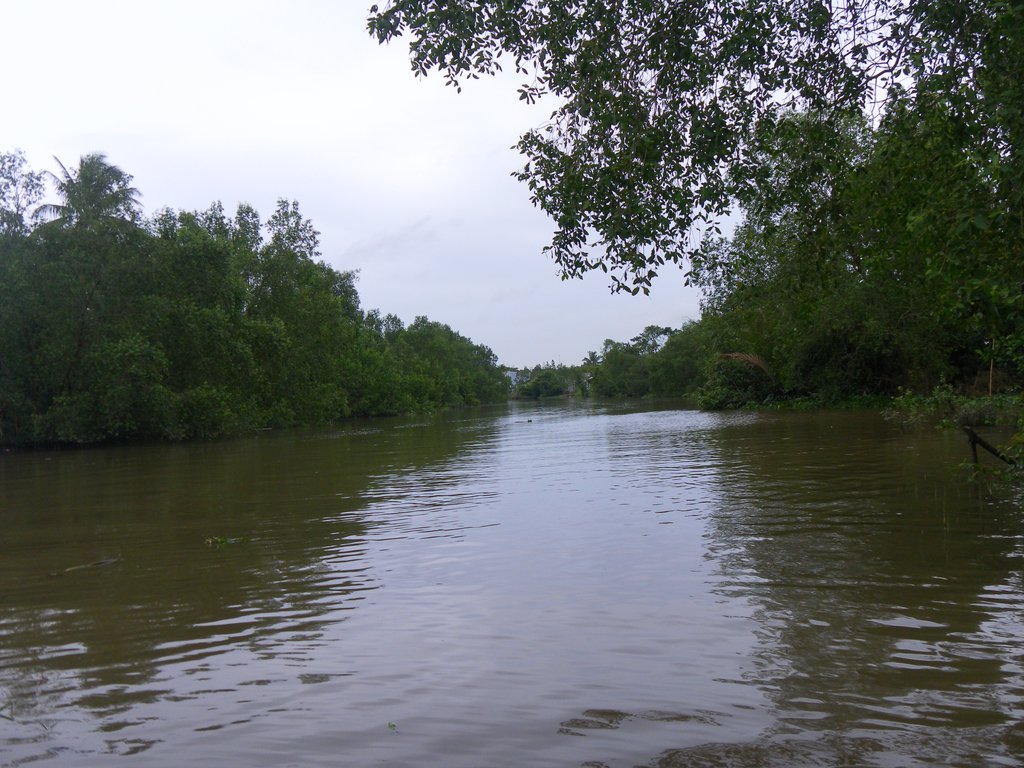 Image SAM_2358.JPG