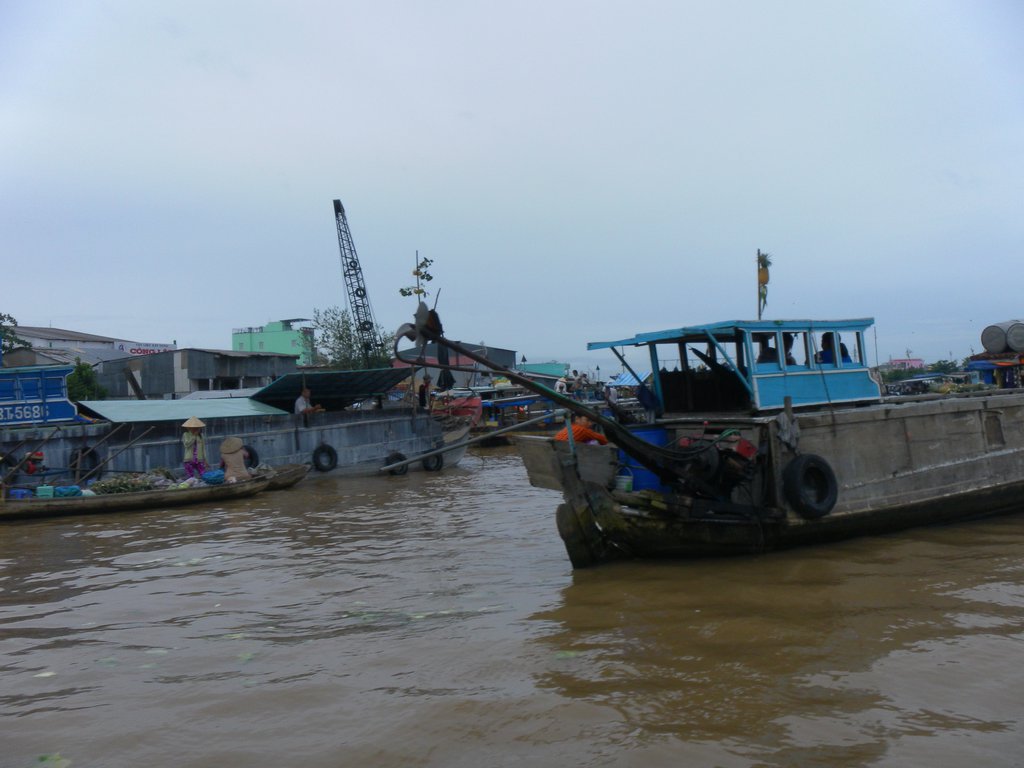 Image SAM_2371.JPG