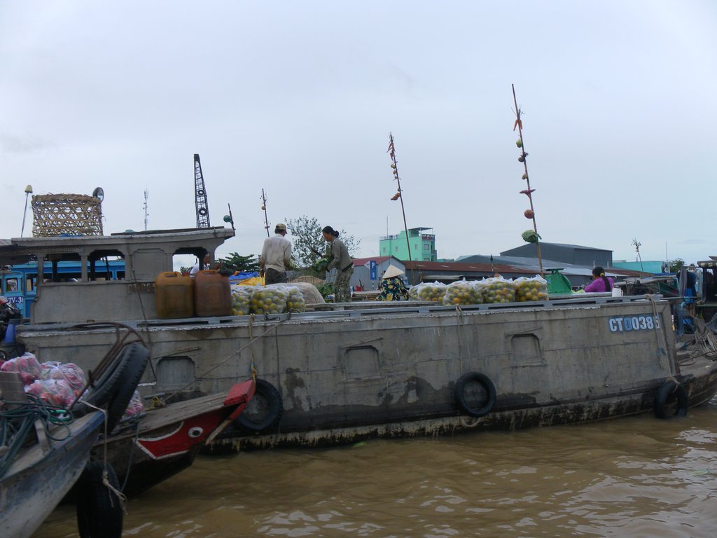 Image SAM_2373.JPG