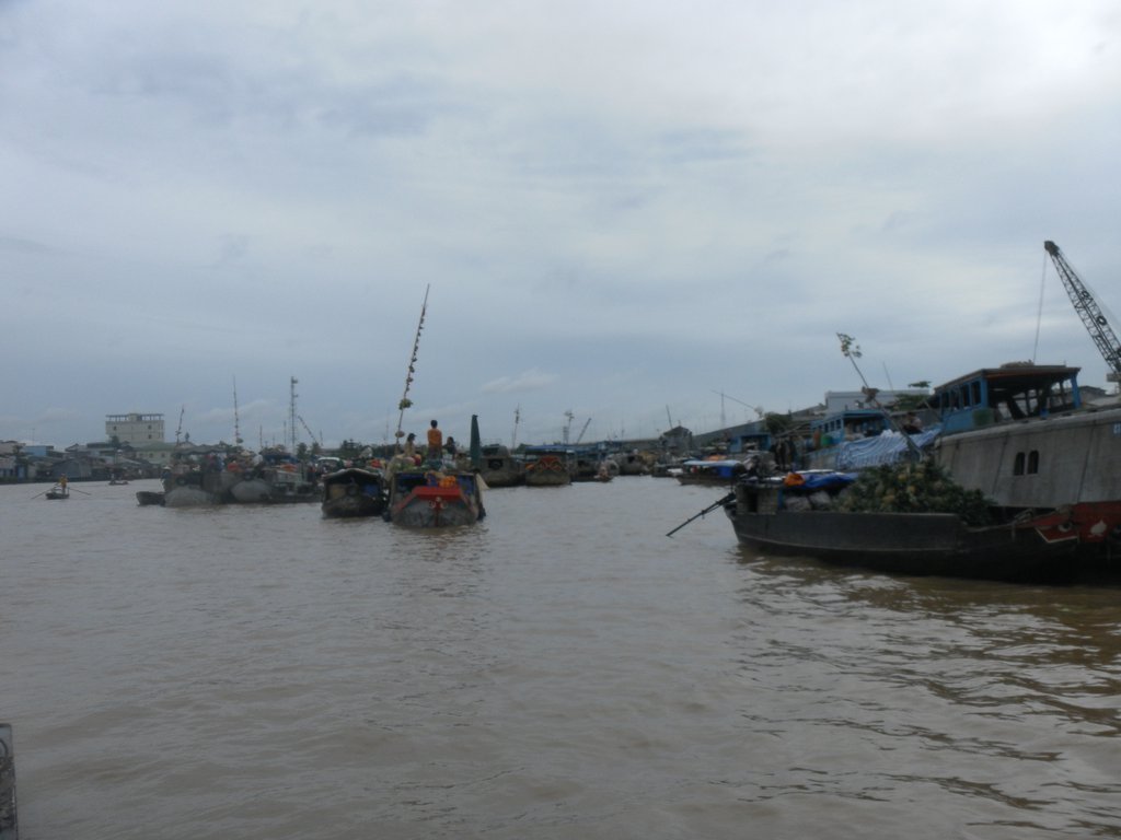 Image SAM_2376.JPG