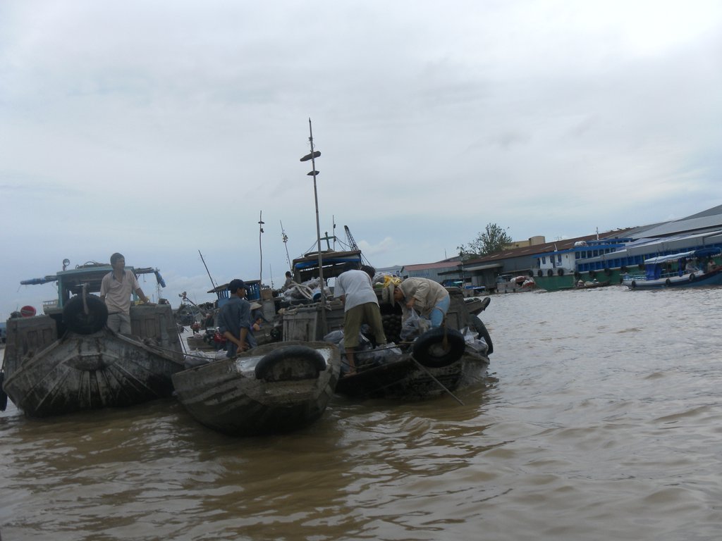 Image SAM_2379.JPG