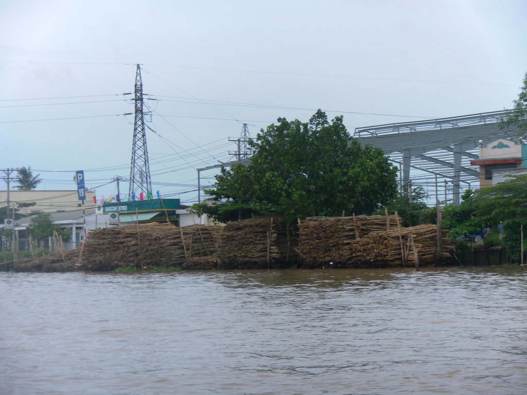 Image SAM_2381.JPG