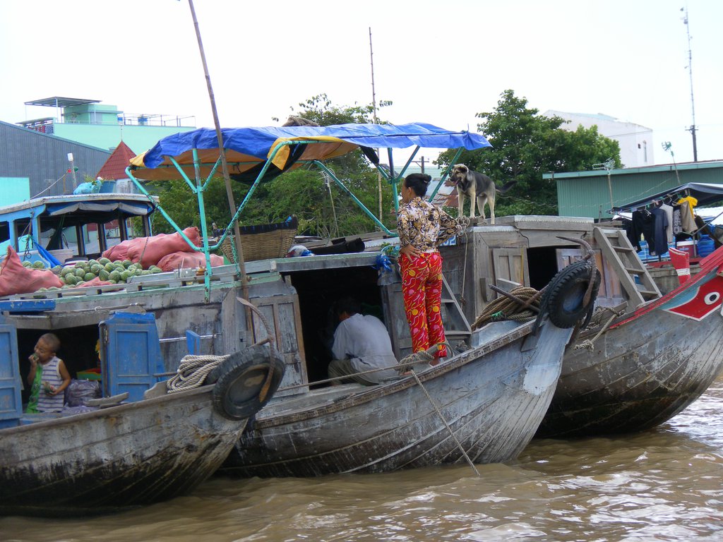 Image SAM_2382.JPG
