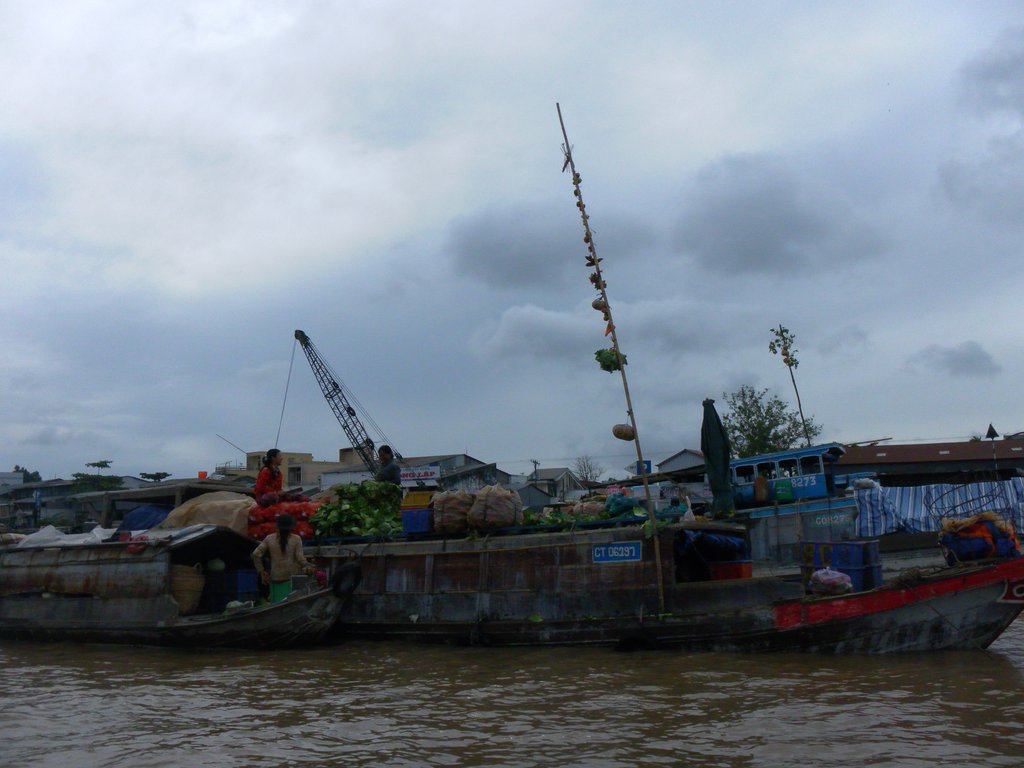 Image SAM_2384.JPG