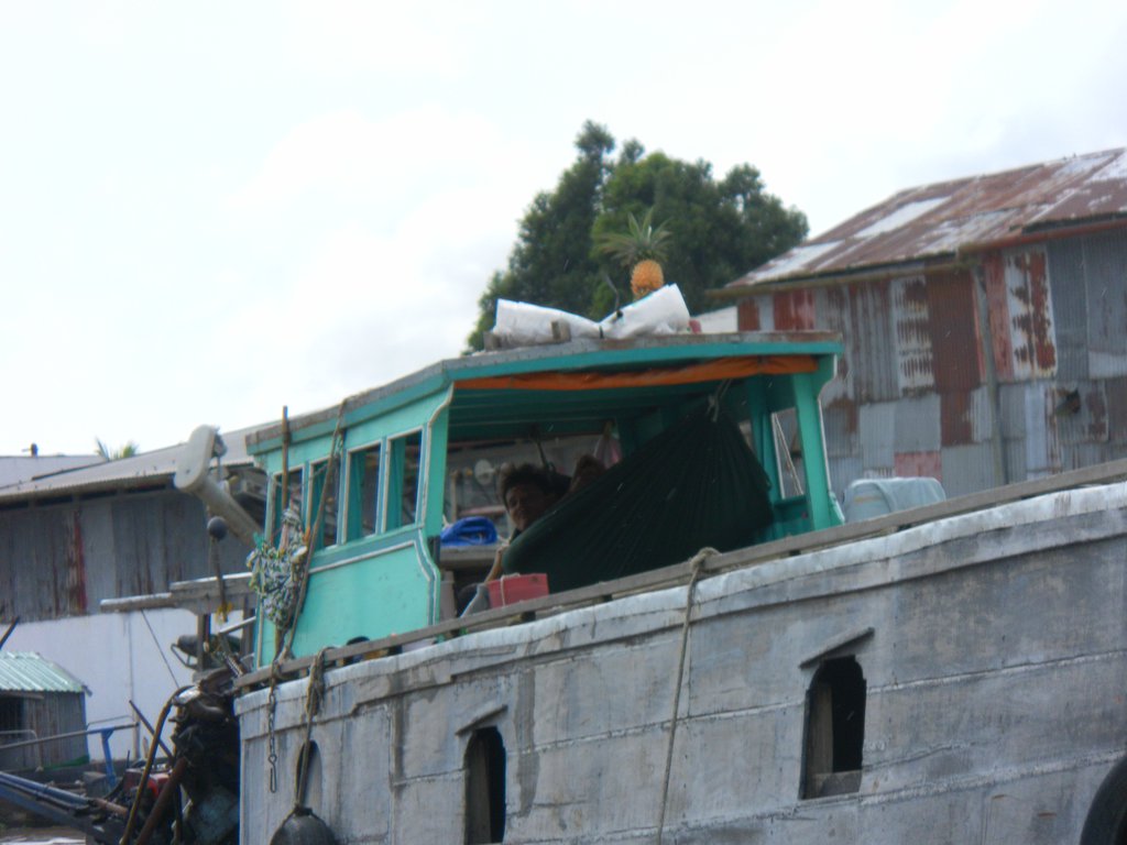 Image SAM_2394.JPG