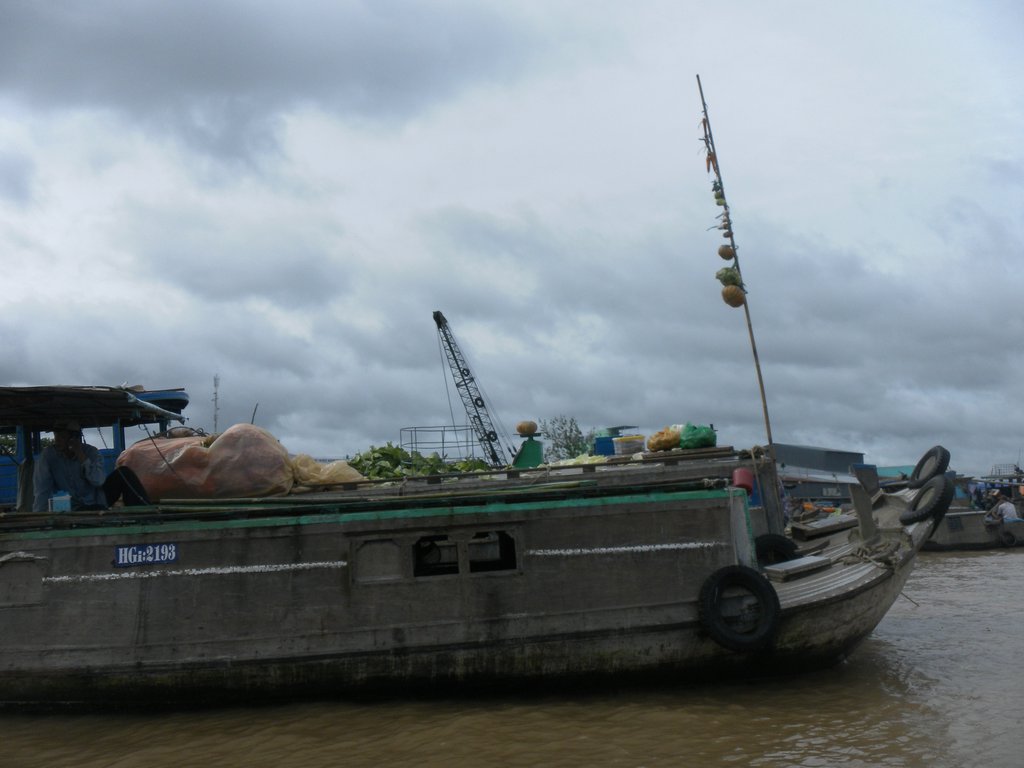 Image SAM_2396.JPG