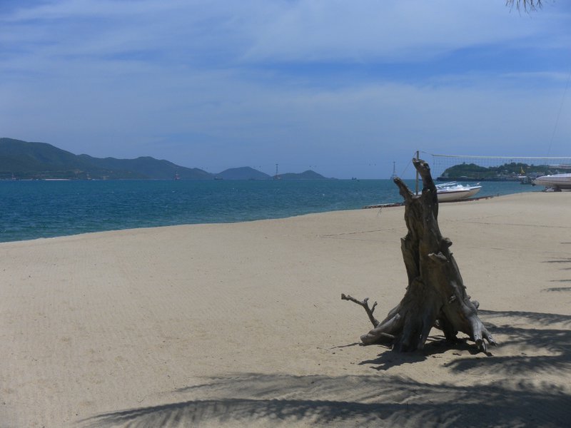 Image SAM_2081.JPG