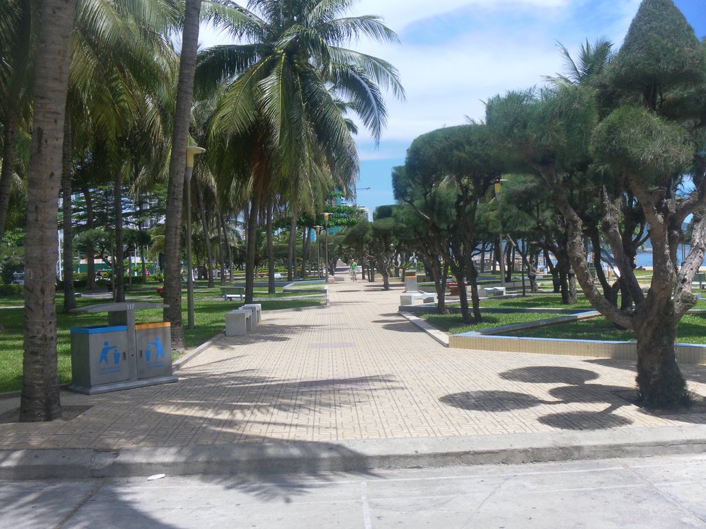 Image SAM_2091.JPG