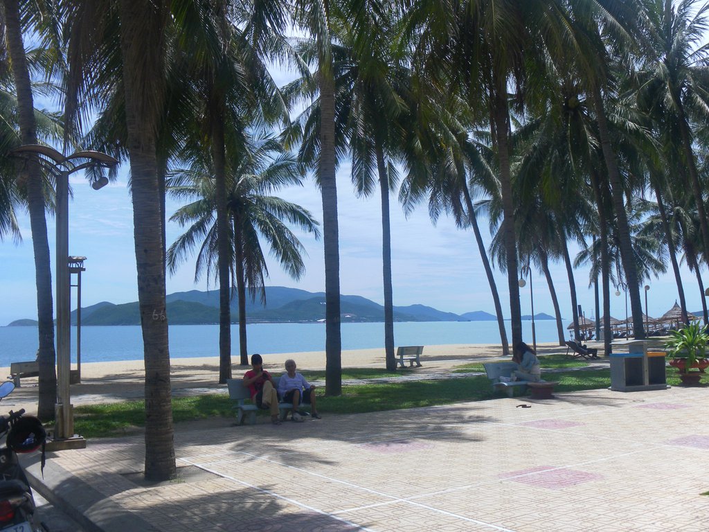 Image SAM_2092.JPG