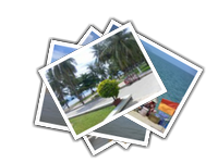 Nha Trang album picture