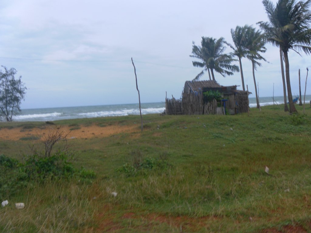 Image SAM_2534.JPG