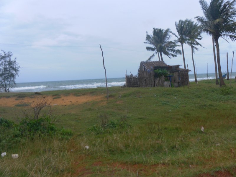 Image SAM_2534.JPG