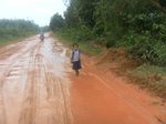 SAM 2544 thumb