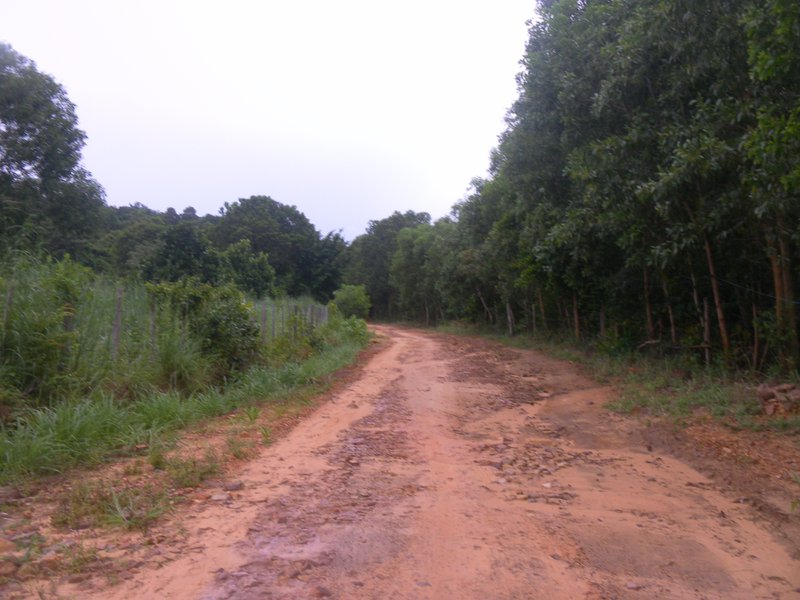 Image SAM_2547.JPG