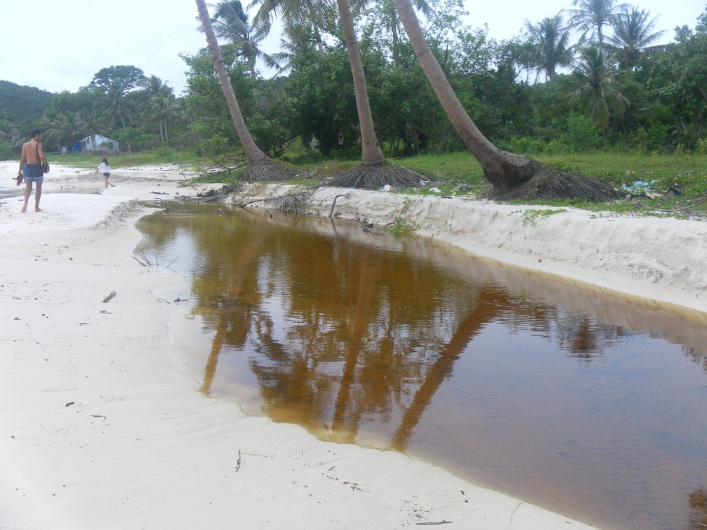 Image SAM_2557.JPG