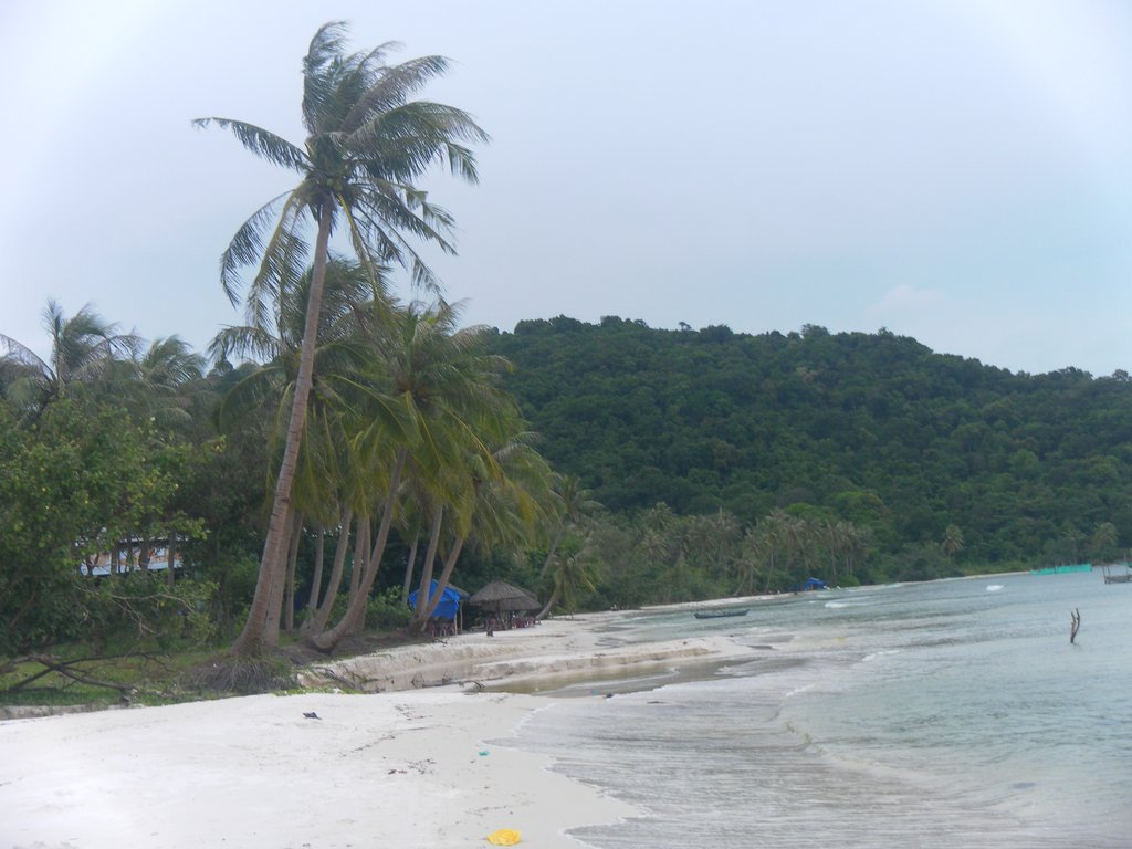 Image SAM_2559.JPG