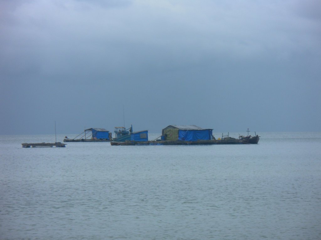 Image SAM_2562.JPG