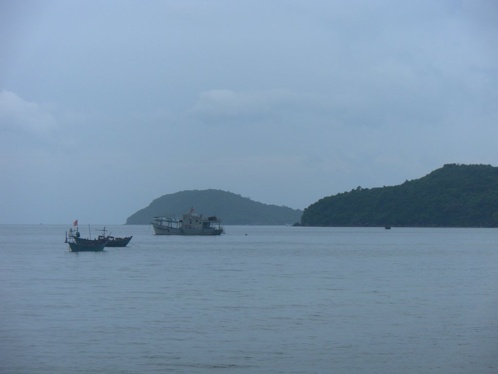 Image SAM_2572.JPG